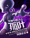 宠物小精灵之孤叶全文阅读